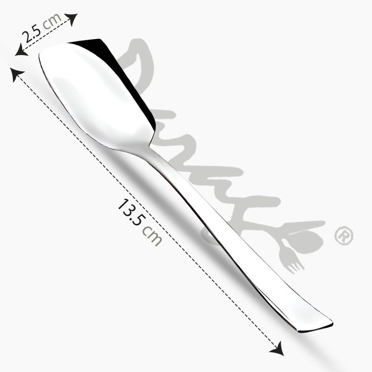 Parage Stainless Steel Set of 12 Ice Cream Spoons, Silverware Spoon Set, Dinner Spoon Length 13.5cm, Food Grade Silverware for Home & Kitchen, Durable Stylish, 12 Silver Spoons