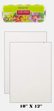 Fevicryl Modge Art Craft Painting (Acrylic Colors (10x15ml) with 2 Canvas Board)