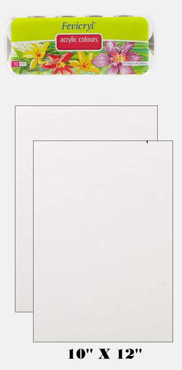 Fevicryl Modge Art Craft Painting (Acrylic Colors (10x15ml) with 2 Canvas Board)