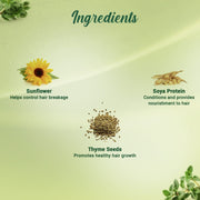 Biotique Bio Thyme Volume Conditioner Fine & Thinning Hair|Gives Volume & Bounce To Hair|Helps In Thicken Follicles|100% Botanical Extracts|Suitable All Skin Types|200 Millilitre-Peppermint,Thyme