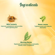 Biotique Morning Nectar Sun Protect Moisturizer SPF 30 UVA/UVB Sunscreen | Visibly Flawless Skin | Suitable for All Skin Types | 190ml