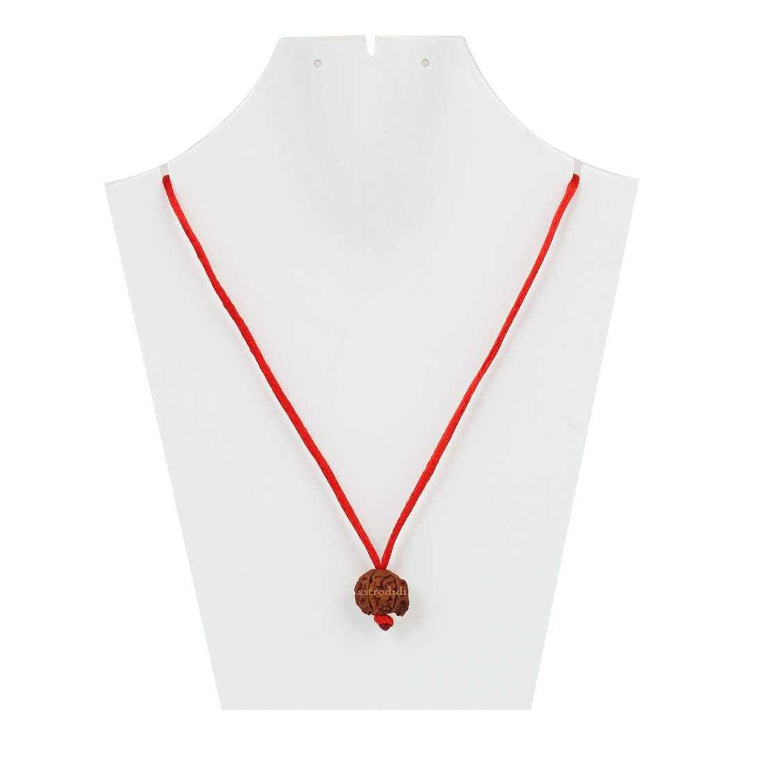 ASTRODIDI Nepali Ganesha Rudraksha with Red Thread for Daily Wearing | Original Certified Natural Nepali Ganesha Rudraksha Trunk Bead | Unisex Design for Men and Women