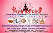 RUDRADIVINE Brass Tortoise Meru Vastu Yantra with 91 Pyramid Yantra