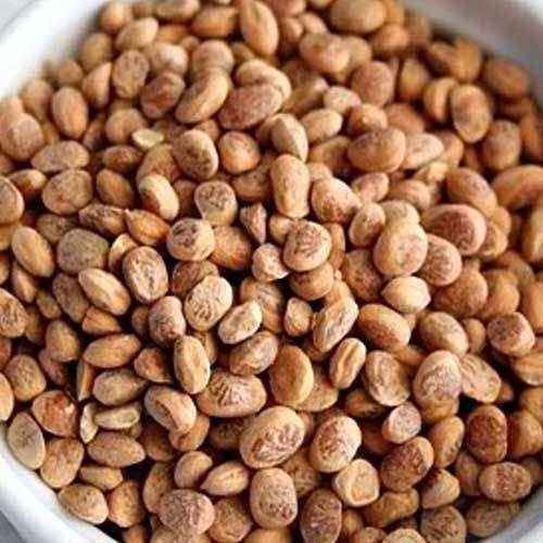 NatureVit Almondette Seeds 250g Jar | Chironji (Charoli) | Sweets, Gravies & Garnishing | Protein & Nutrient Rich Dry Fruit