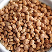 NatureVit Almondette Seeds 250g Jar | Chironji (Charoli) | Sweets, Gravies & Garnishing | Protein & Nutrient Rich Dry Fruit