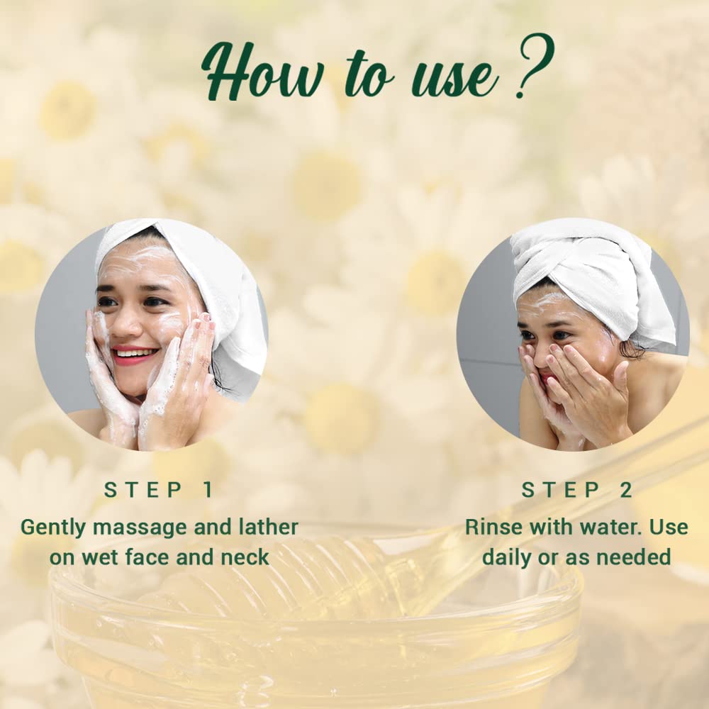 Biotique Honey Gel Soothe & Nourish Foaming Face Wash 400ml (200ml x 2)