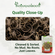 IndianJadiBooti Elite Detox & Focus Bundle: Anantmool, Brahmi Leaves & White Shatavari – For Blood Purification, Cognitive Clarity & Hormonal Balance – 250gm Each