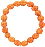 ASTRODIDI 5 Mukhi Rudraksha Bracelet | Panchmukhi Five Face Natural Rudraksha Stretchable Bracelet for Men Women Boys and Girls (Rudraks Size 8-9 mm and Color: Brown)