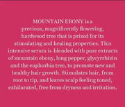 BIOTIQUE combo pack of Bio Mountain Ebony vitalizing serum for falling hair (120 ml) (240 ml)