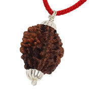 ASTRODIDI 2 Mukhi Rudraksha Original Certified Two Face Silver Coated Pendant | Astrological Benefits and Positive Energy | Unisex Design for Men & Women
