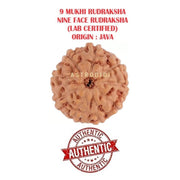 Astrodidi 9 Mukhi Rudraksha | Certified Java Nine Face Rudraksha