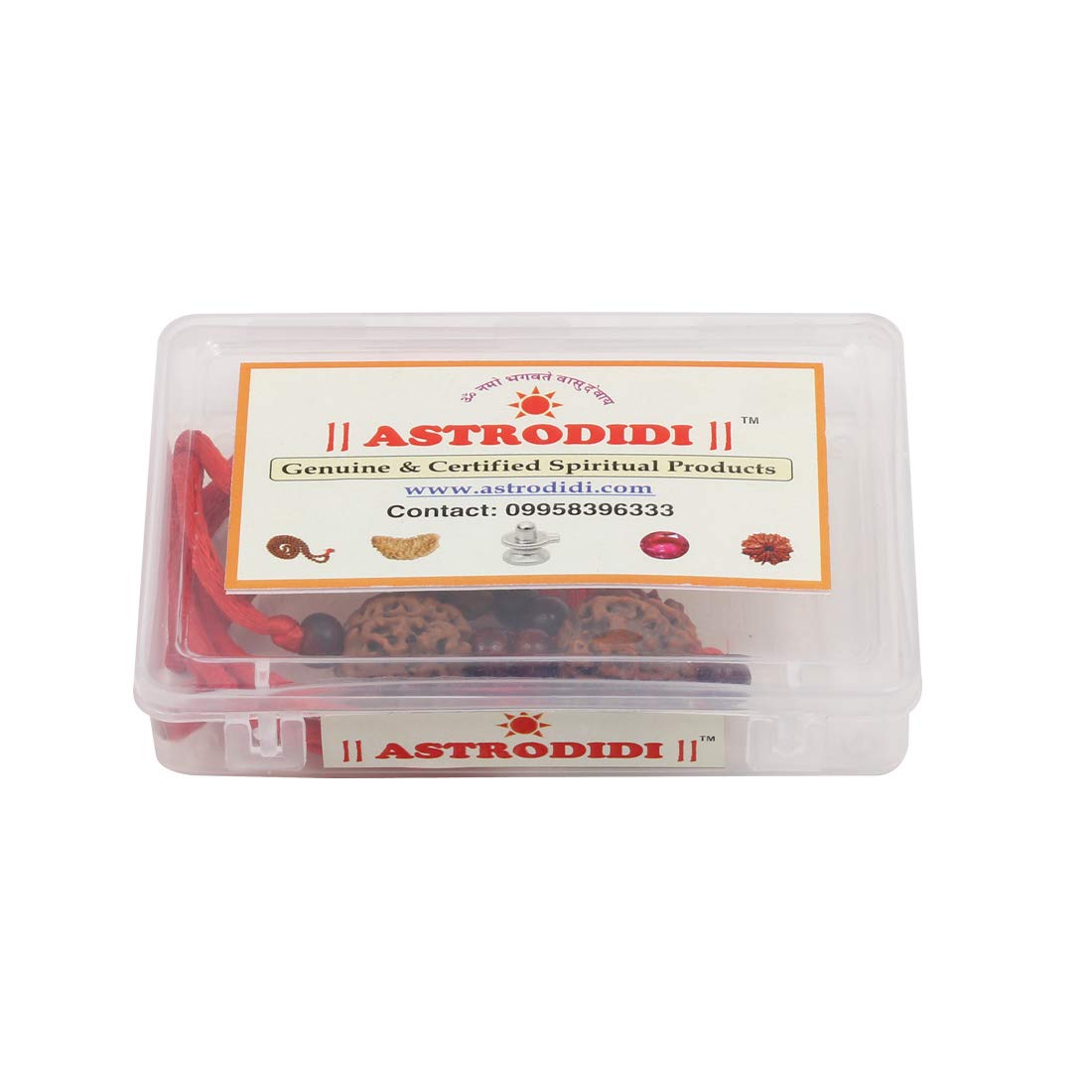 ASTRODIDI Saraswati Rudraksha Pendant Combination of 3,4 & 6 Mukhi Rudraksh Beads