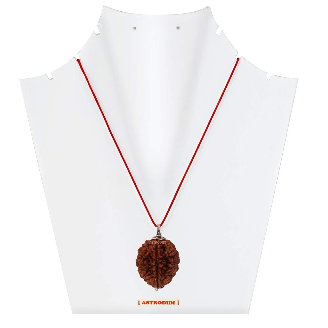 ASTRODIDI Certified and Original 2 Mukhi Rudraksha Pendant with Lab Report for Daily Wearing for Men Women Boys and Girls | Natural Two Face Rudraksh for Meditation and Prayer, Protection, Chakra Balancing, Spiritual Growth