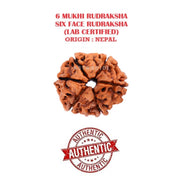 Astrodidi Original Nepali Six Face / 6 Mukhi Rudraksha with Lab Certificate for Meditation, Prayer, Protection, Chakra Balancing and Spiritual Growth (Colour: Brown)