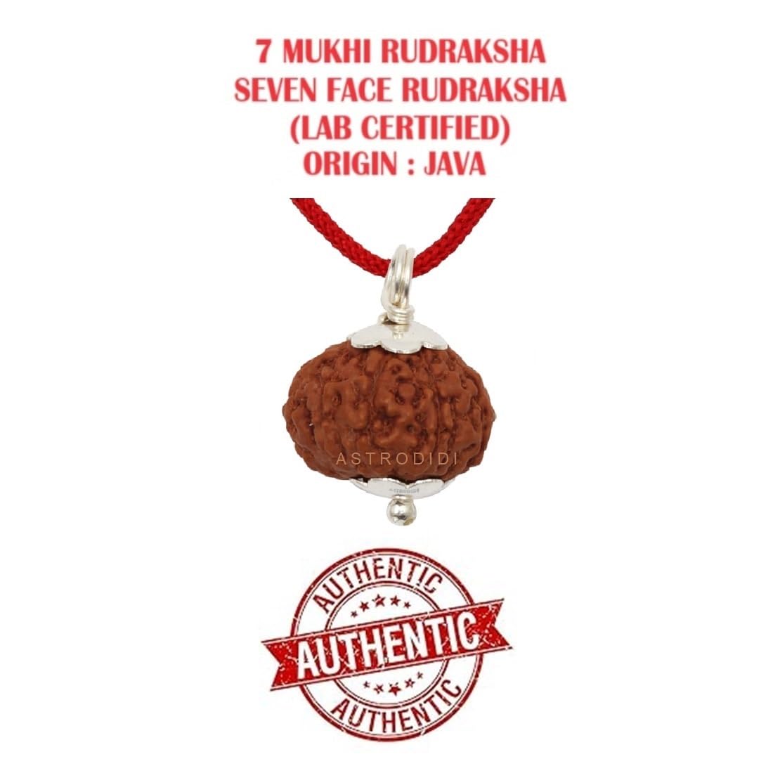 ASTRODIDI 7 Mukhi Rudraksha Original Certified Java Seven Face Small Size Silver Coated Pendant with Lab Report | Astrological Benefits | Unisex Design for Men & Women