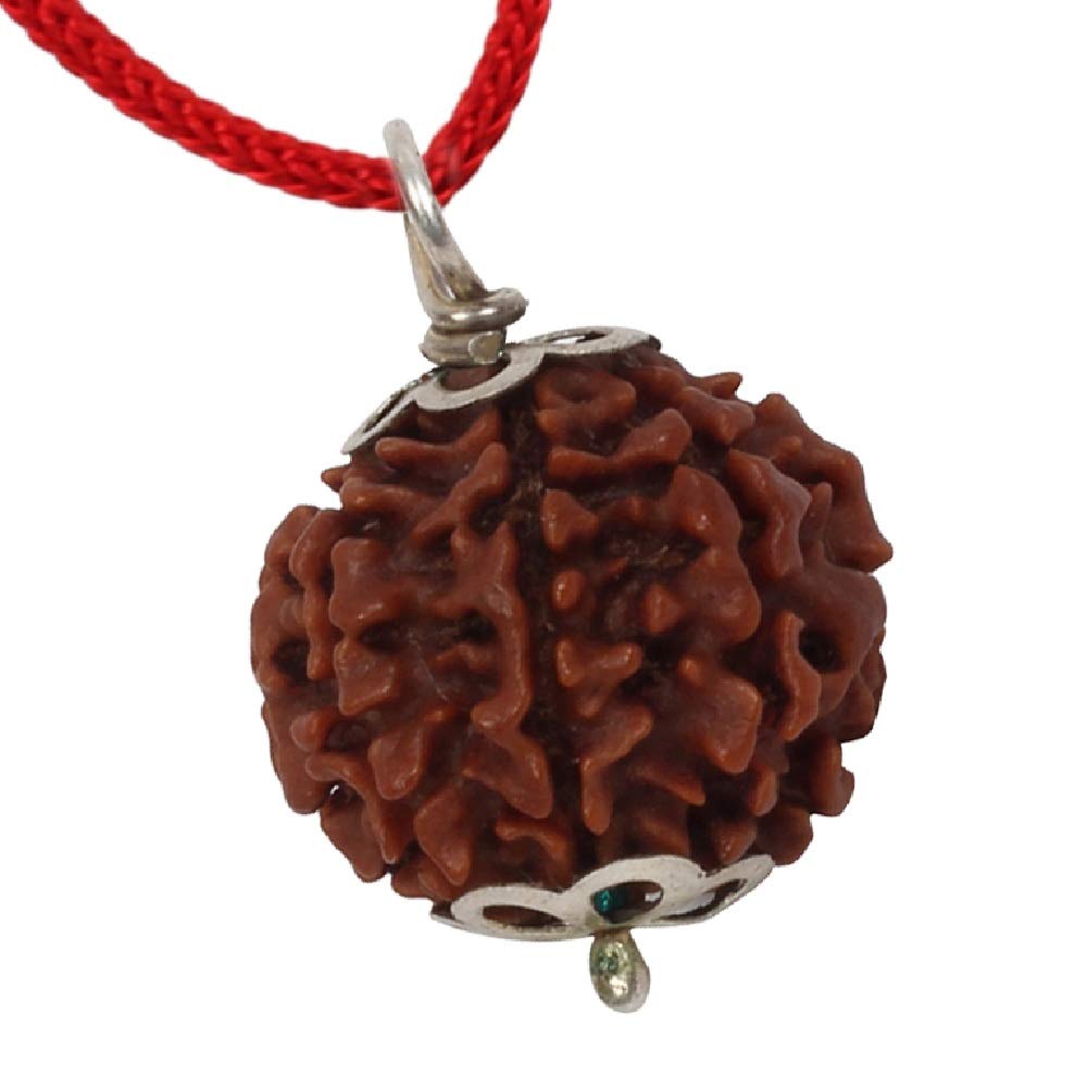 ASTRODIDI Brown 7 Mukhi/Seven Face Nepali Rudraksha Lab Certified and Mantra Siddha | 7 Faced Saat Mukha Natural Rudraksh Silver Plated Pendant with Red Thread for Men & Women
