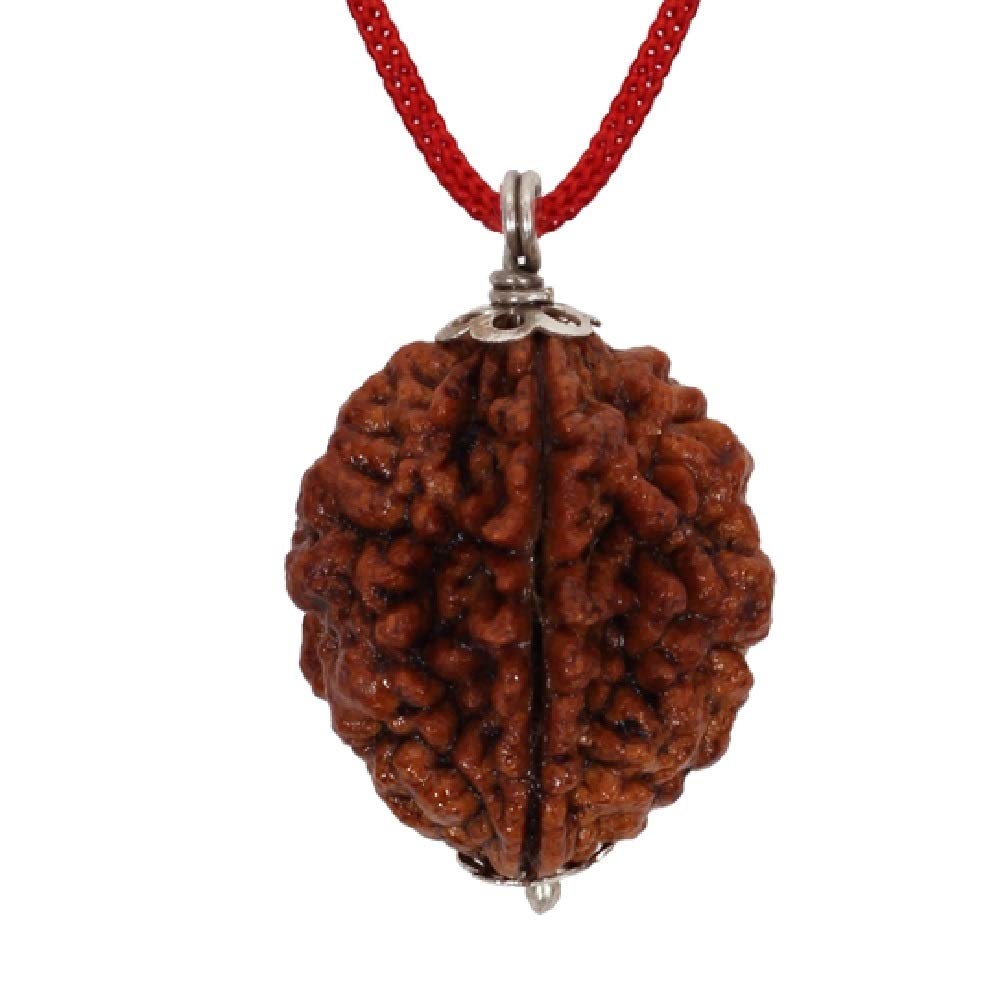 ASTRODIDI 2 Mukhi Ruraksha Two Face Pendant Mantra Siddha and Certified