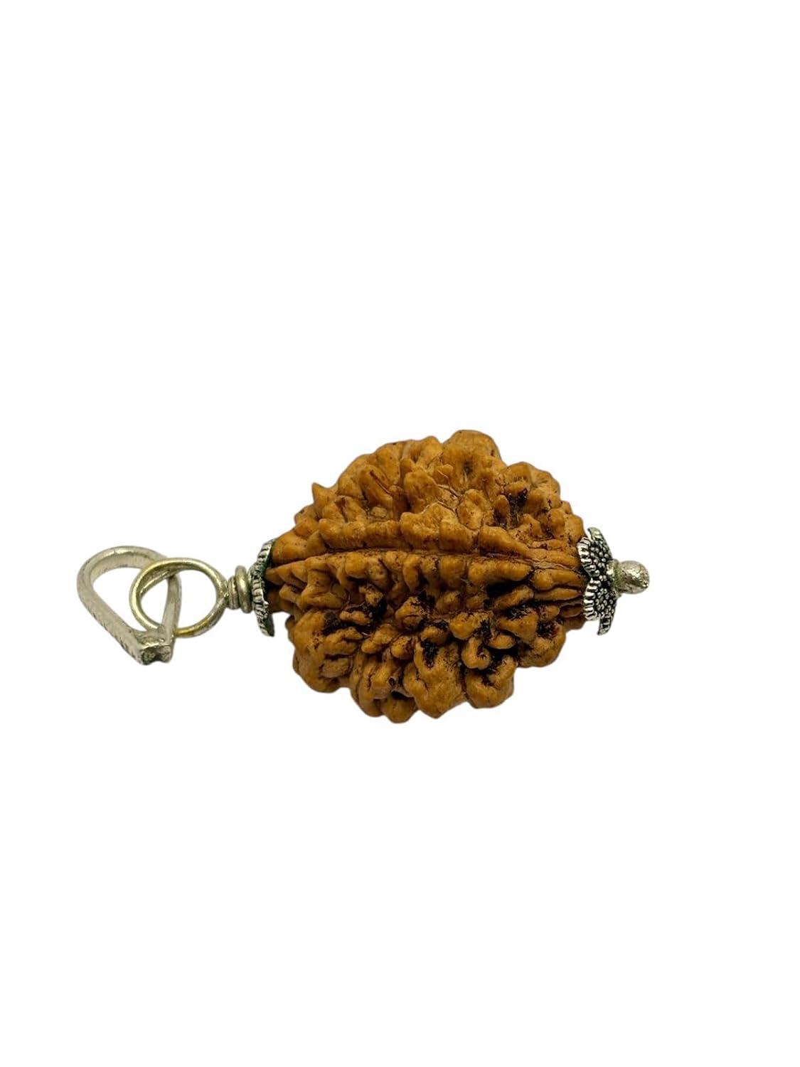 RUDRADIVINE 2 Mukhi Indian Rudraksha with Silver Plated Cap Pendent – Original Bead for Love, Harmony & Spiritual Balance