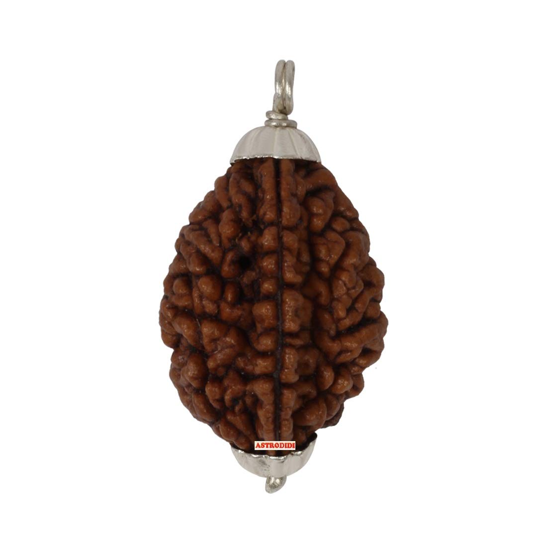 ASTRODIDI Certified and Original 2 Mukhi Rudraksha Pendant with Lab Report for Daily Wearing for Men Women Boys and Girls | Natural Two Face Rudraksh for Meditation and Prayer, Protection, Chakra Balancing, Spiritual Growth