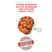 Astrodidi 6 Mukhi Rudraksha Original Certified Silver Plated Pendant | Natural Nepali Six Face Rudraksh | Astrological Benefits | Unisex Design for Men & Women