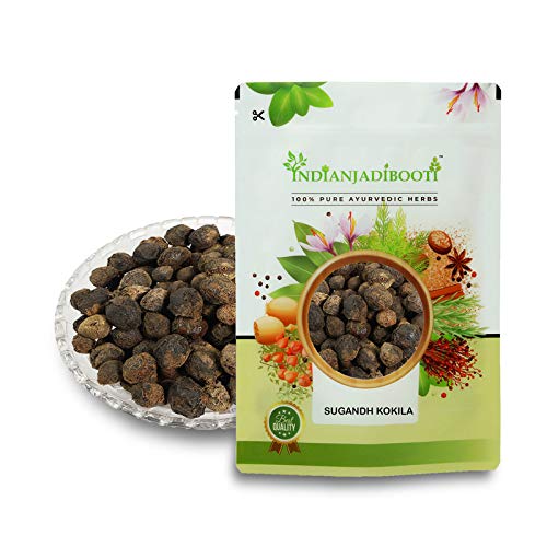 IndianJadiBooti Sugandh Kokila - Laurel Berry - Cinnamomum cecidodaphne, 250 Grams