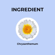 BLUE TEA - Chrysanthemum Flower Tea - 20gm - 20 Cups | SUPER ANTIOXIDANT | Cooling And Refreshing | Flower Based - Herbal Tea - Caffeine Free | Pet Jar Packaging