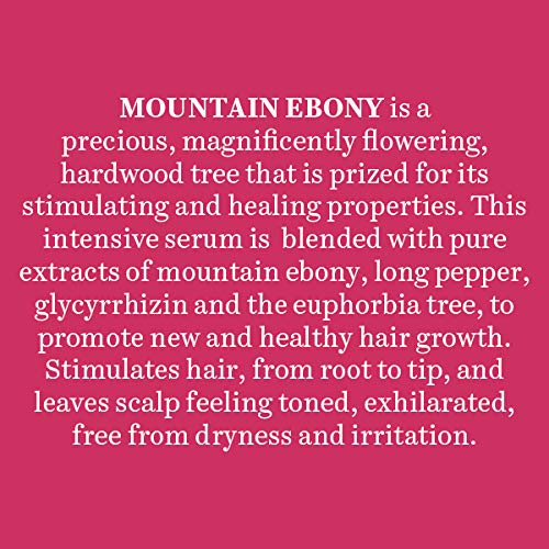 Biotique Mountain Ebony Vitalizing Serum | Prevents Hair Fall & Soothes Scalp| Promotes Hair Growth | 100% Botanical Extracts | Suitable for All Skin Types | 120ml (Pack of 2)