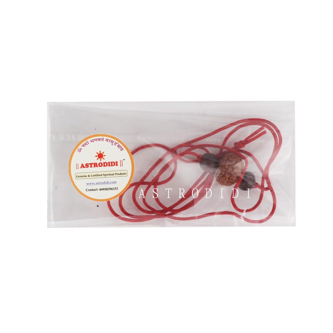Astrodidi 9 Mukhi Rudraksha | Certified Java Nine Face Small Size Rudraksh with Two Red Chandan Beads in Red Thread with Lab Certificate (Colour: Brown, Shape: Round)