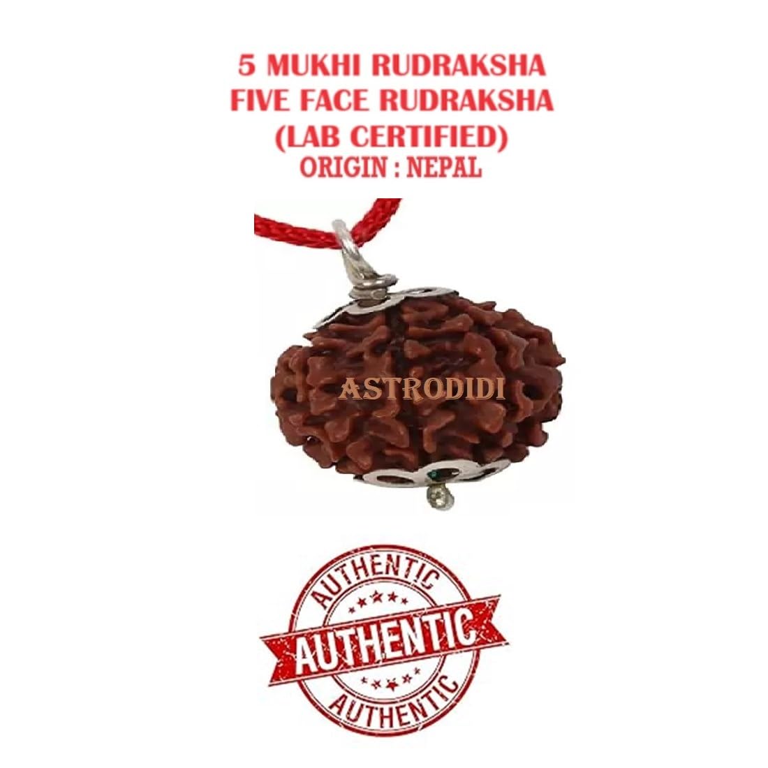 ASTRODIDI 5 Mukhi Rudraksha Pendant Lab Certified Nepali Five Mukhi Original Certified Rudraksha Pendant Origin Nepal, Color Brown | Astrological Benefits | Unisex Design for Men & Women