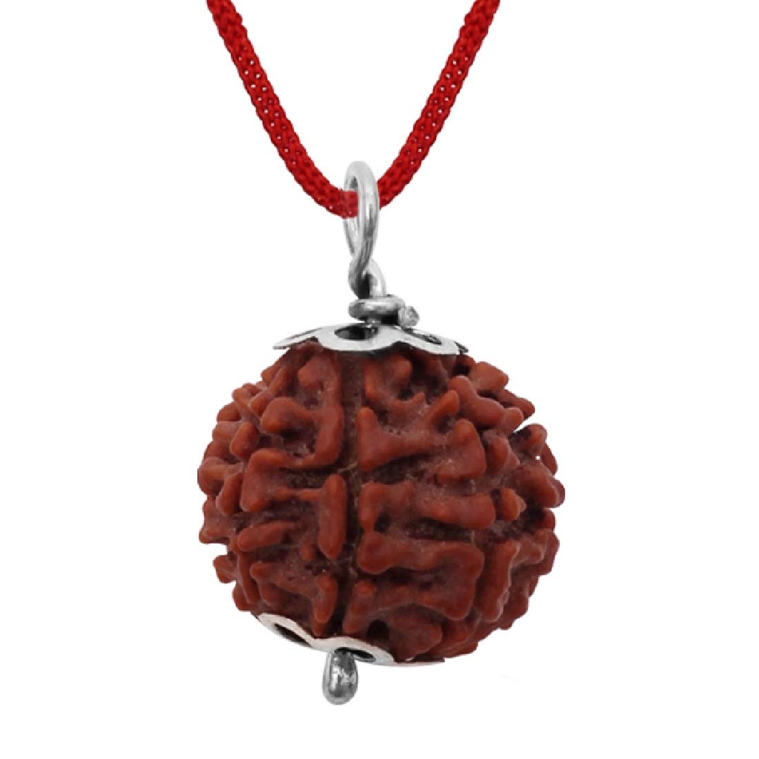 ASTRODIDI Brown 7 Mukhi/Seven Face Nepali Rudraksha Lab Certified and Mantra Siddha | 7 Faced Saat Mukha Natural Rudraksh Silver Plated Pendant with Red Thread for Men & Women