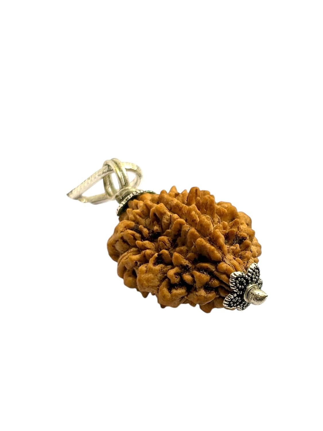 RUDRADIVINE 2 Mukhi Indian Rudraksha with Silver Plated Cap Pendent – Original Bead for Love, Harmony & Spiritual Balance