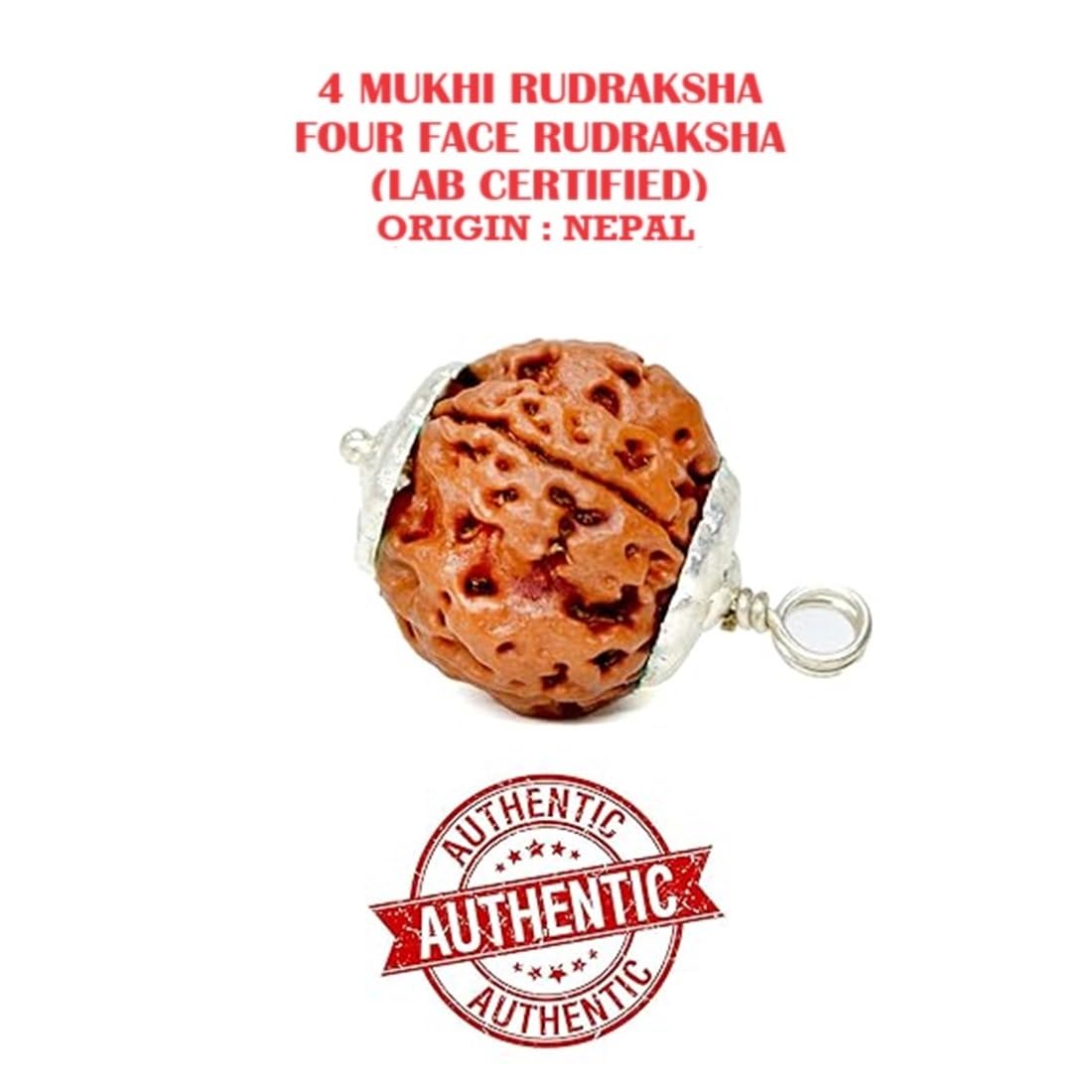 ASTRODIDI 4 Mukhi Rudraksha Pendant with Lab Certified | Nepali Four Face Original Rudraksh | Astrological Benefits | Unisex Design for Men & Women Boys and Girls