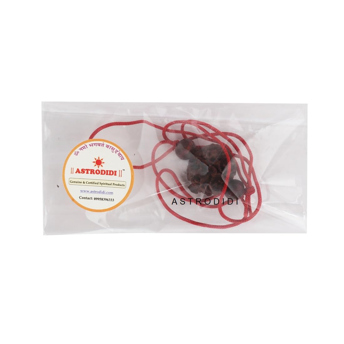 Astrodidi 7 Mukhi Rudraksha | Certified Nepali Seven Face Rudraksh with Two Red Chandan Beads in Red Thread with Lab Certificate (Colour: Brown, Shape: Round)