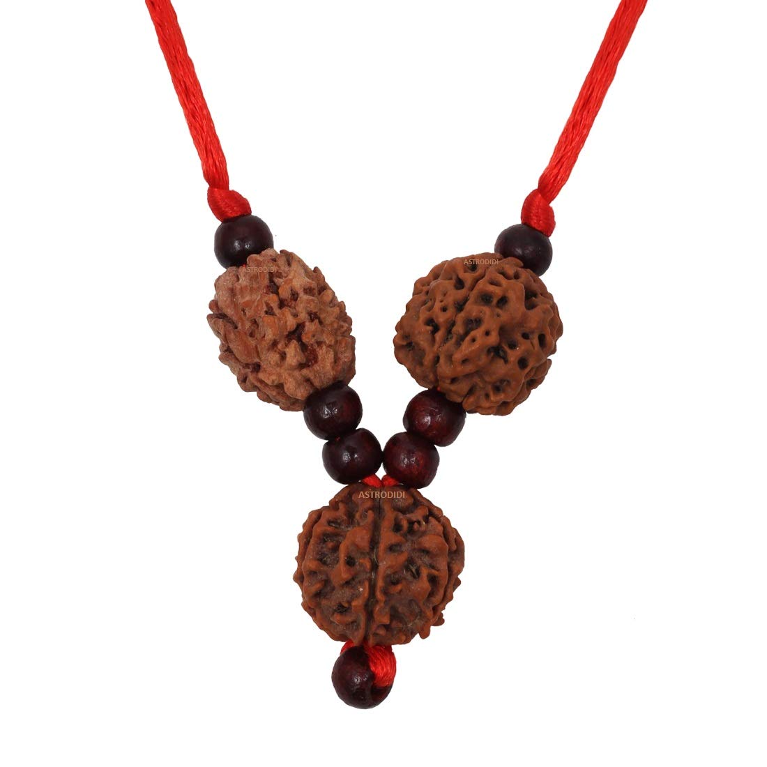 ASTRODIDI Saraswati Rudraksha Pendant Combination of 3,4 & 6 Mukhi Rudraksh Beads