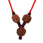 ASTRODIDI Saraswati Rudraksha Pendant Combination of 3,4 & 6 Mukhi Rudraksh Beads