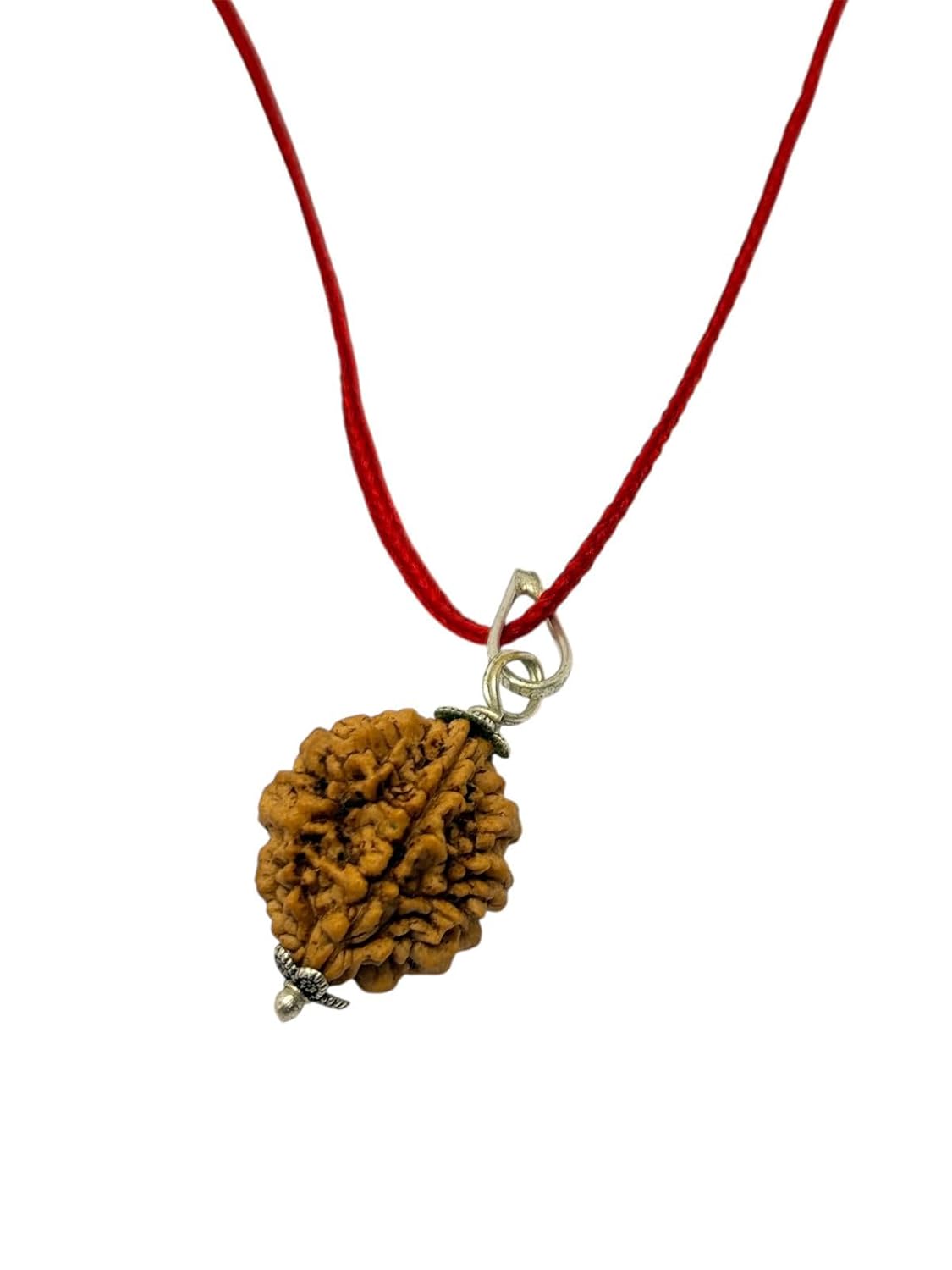RUDRADIVINE 2 Mukhi Indian Rudraksha with Silver Plated Cap Pendent – Original Bead for Love, Harmony & Spiritual Balance