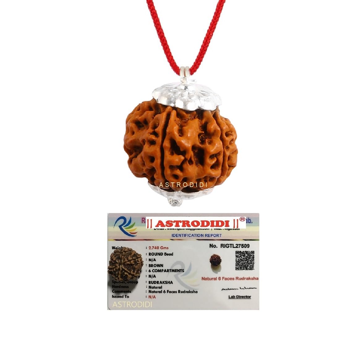 Astrodidi 6 Mukhi Rudraksha Original Certified Silver Plated Pendant | Natural Nepali Six Face Rudraksh | Astrological Benefits | Unisex Design for Men & Women