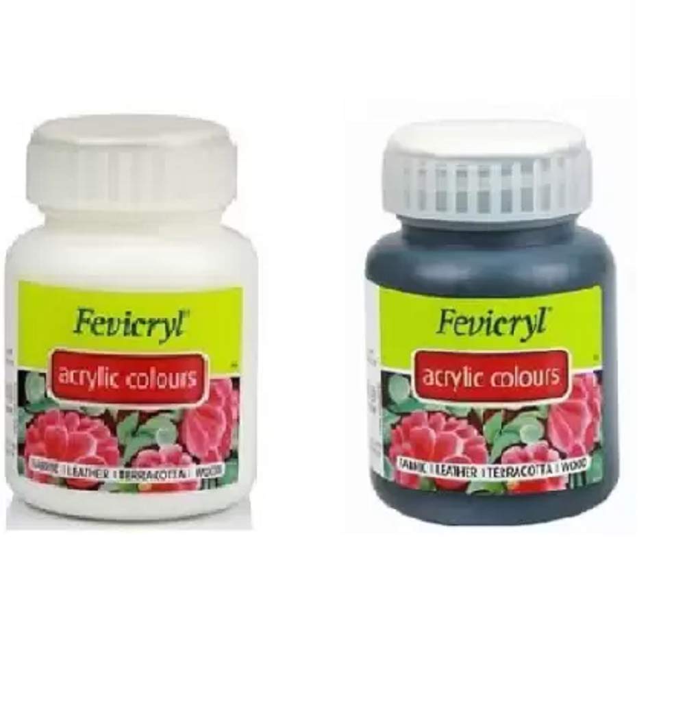 Fevicryl Acrylic Colours, Monochrome, 100 ml (Multicolor)