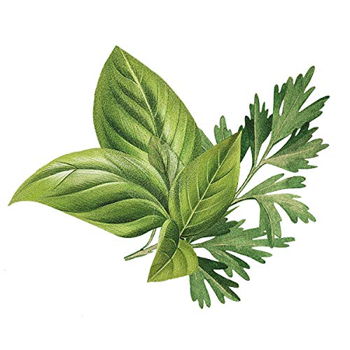 Biotique Basil and Parsley Revitilizing Body Soap, 150g
