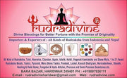 RUDRADIVINE Panchdhatu Shri Yantra for Pooja | Energized Wealth & Prosperity Symbol | Vastu Decor for Home Entrance & Office