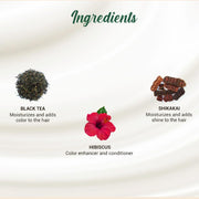 Biotique Herbcolor Conditioning Hair Colour l Ammonia Free Hair Color l 9 Organic Herbal Extracts l Natural and Healthy Shine l 50g + 110ml| Darkest Brown 3N (Pack of 1)