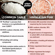 Urban Platter Pink Himalayan Rock Salt Grinder, 100g (Sendha Namak | Easy to Grind | Free from Micro-Plastics | Pure & Natural | Rich in Natural Minerals)