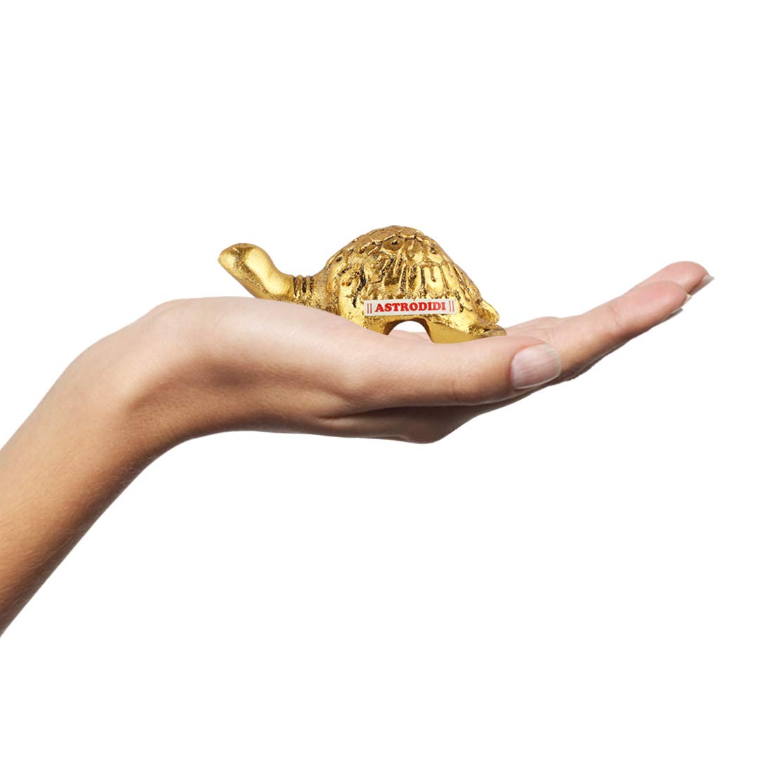 Astrodidi Kachua/Tortoise in Antique Finish (Metal : Aluminium)