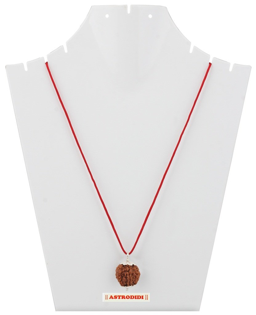 ASTRODIDI 7 Mukhi Rudraksha Original Certified Silver Plated Pendant | Natural Nepali Seven Face Rudraksh Bead | Astrological Benefits | Unisex Design for Men & Women