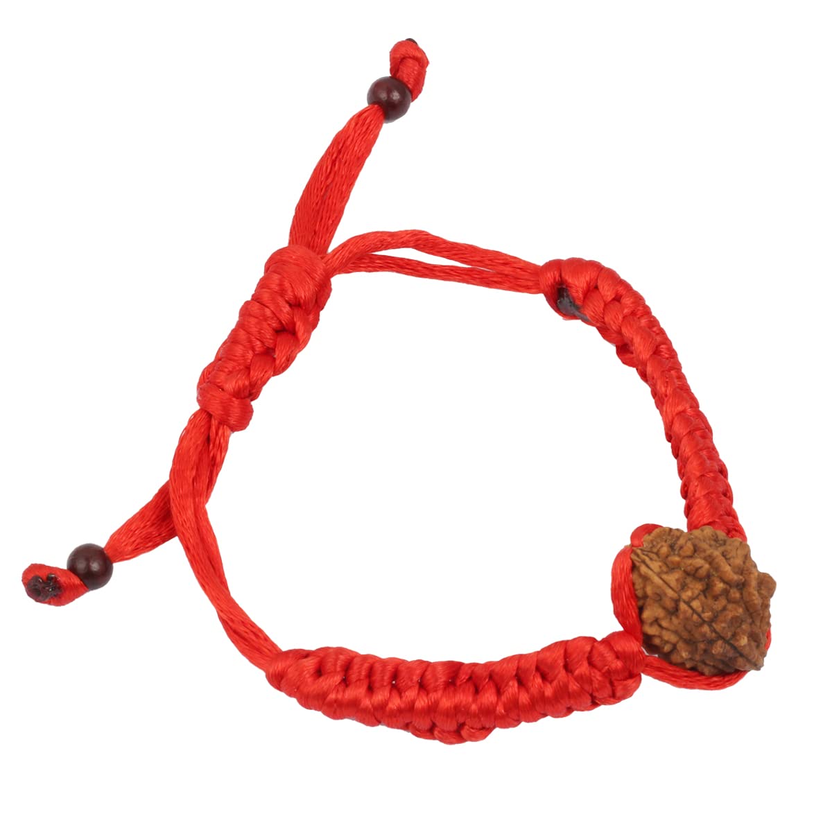 ASTRODIDI 2 Mukhi Rudraksha Two Face Rudraksh Bracelet