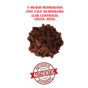 ASTRODIDI Original Certified 5 Mukhi Rudraksha Bead with Red Thread for Daily Wearing | Natural Nepali Five Face Rudraksh Bead | Unisex Design for Men Women Boys and Girls