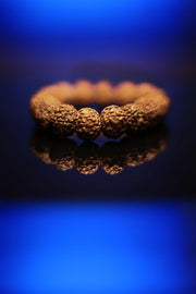 RUDRADIVINE 7 Mukhi Rudraksha Bracelet Certified Energized 7 Mukhi Rudraksha Bracelet Adjustable Unisex