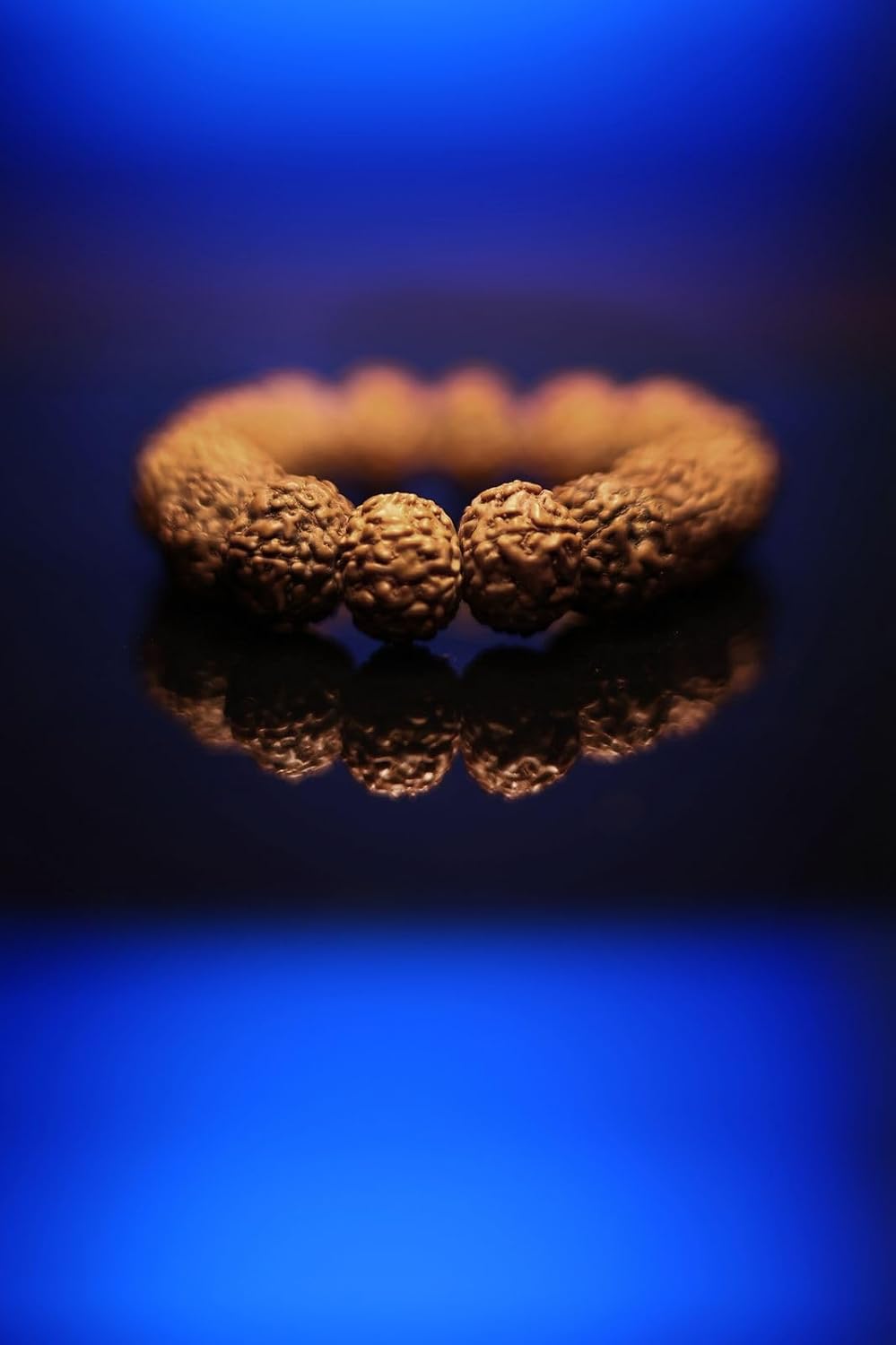 RUDRADIVINE 7 Mukhi Rudraksha Bracelet Certified Energized 7 Mukhi Rudraksha Bracelet Adjustable Unisex