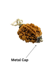 RUDRADIVINE 2 Mukhi Indian Rudraksha with Silver Plated Cap Pendent – Original Bead for Love, Harmony & Spiritual Balance