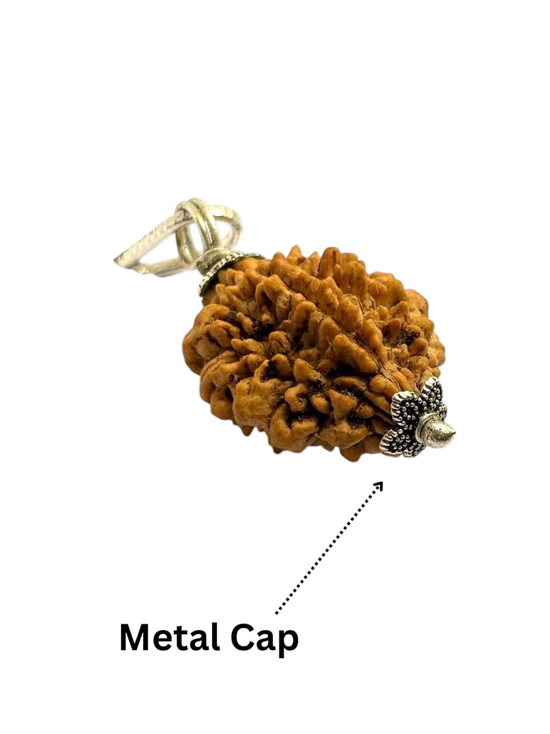 RUDRADIVINE 2 Mukhi Indian Rudraksha with Silver Plated Cap Pendent – Original Bead for Love, Harmony & Spiritual Balance